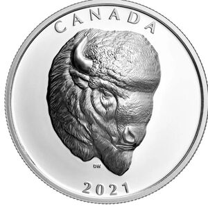 2021 RCM $25 Bold Bison (EHR) - Pure Silver Coin